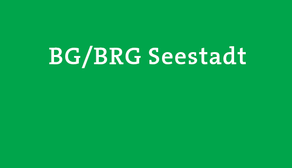 Teaser BG/BRG Seestadt